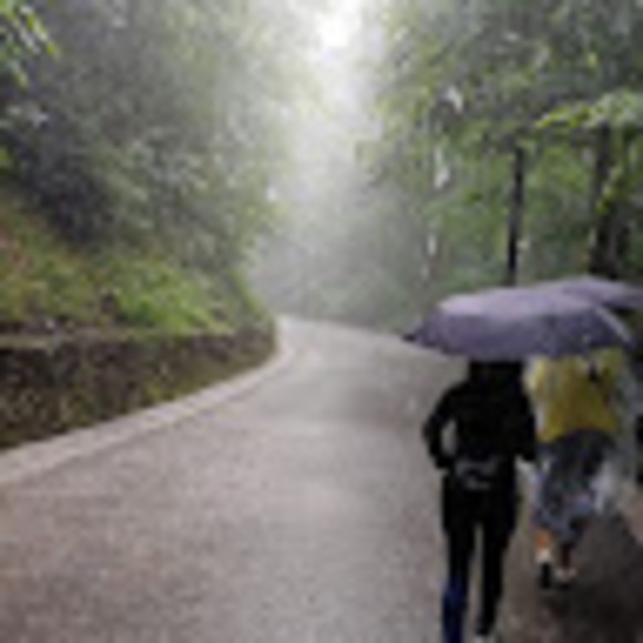 Meet your Posher, Tran - Picture 1 of 1